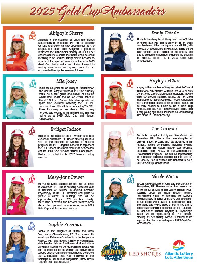 Ambassador Sheet